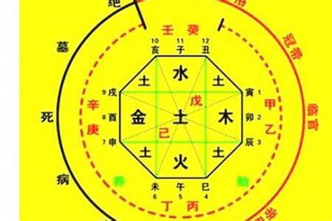 金神 八字|金神是什么意思？八字算命中的金神作用有哪些